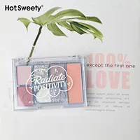 High Grade Pigment 9 Colors Silver Palette